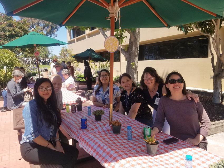central-servics-picnic