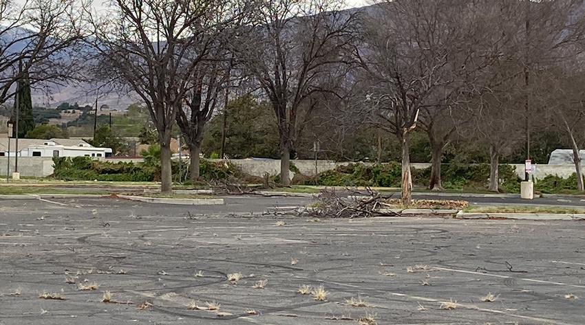 KMART outside ceanup, before