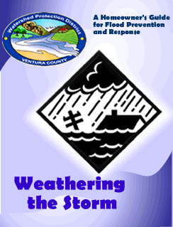 Weathering the Storm