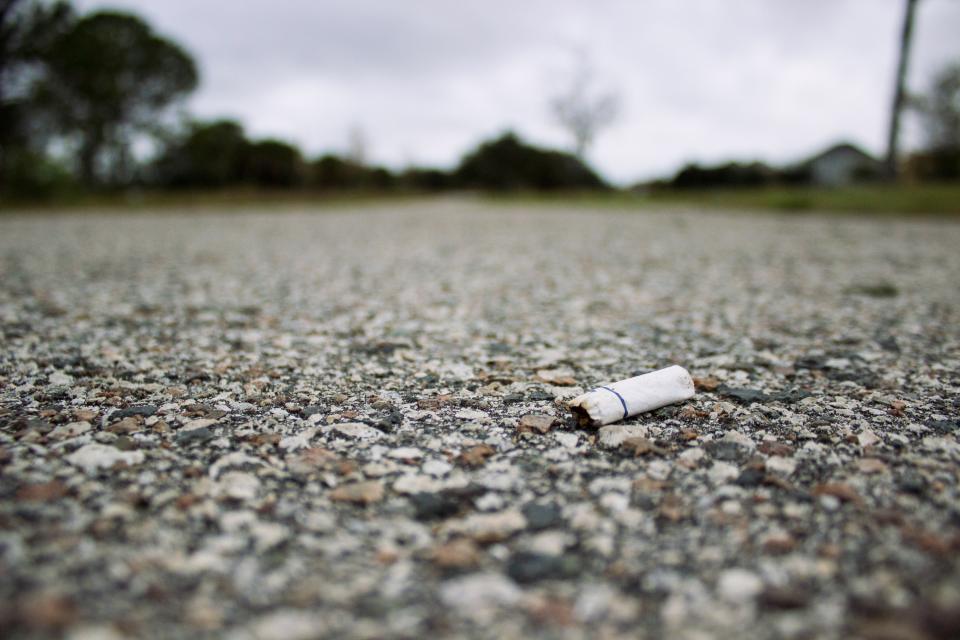 cigarette bud-smoking_51L2DSZ0YJ