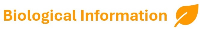 Biological Information